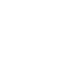 white truck icon
